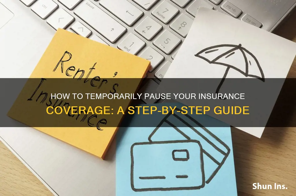 how to interrompt the insurance temporarly