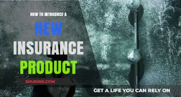 Launching Your New Insurance Product: A Comprehensive Introduction Guide