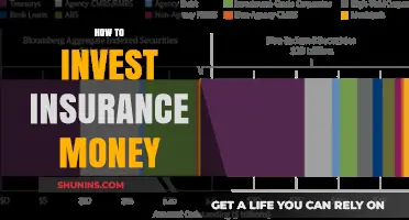 Maximizing Insurance Money: Smart Investment Strategies