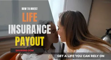 Life Insurance Payout: Investing for Security and Growth