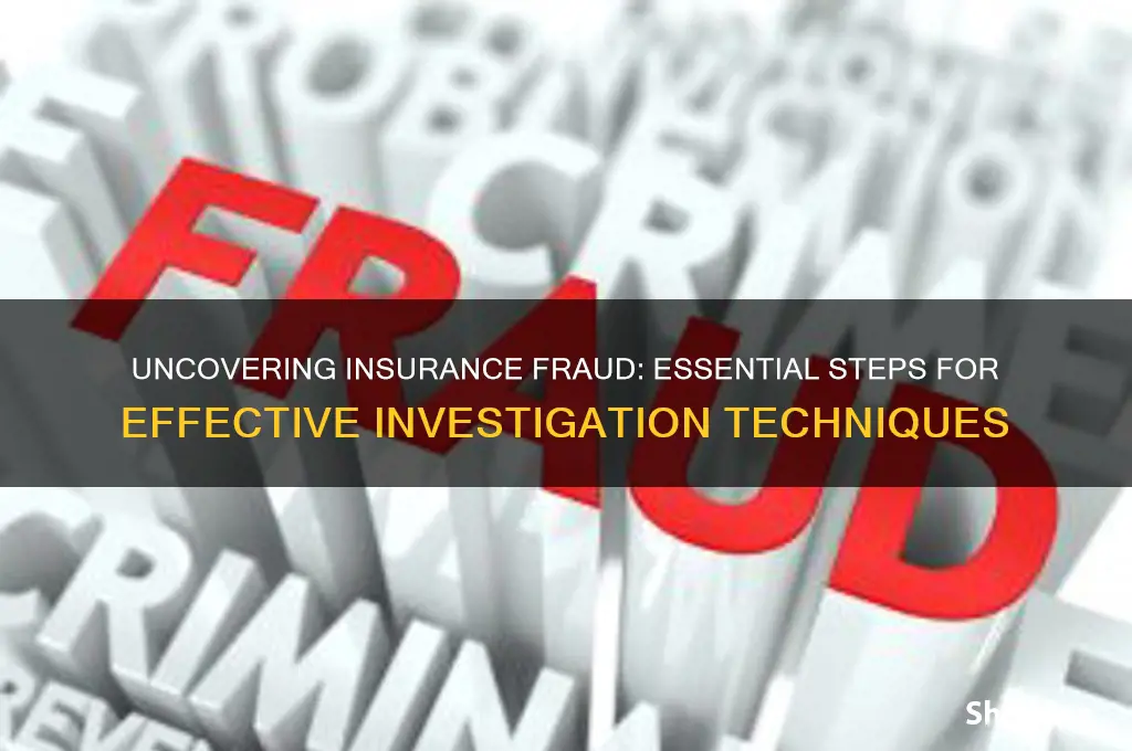 how to investigate insurance fraud