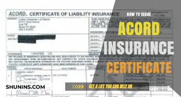 Mastering the Process: How to Issue an ACORD Insurance Certificate