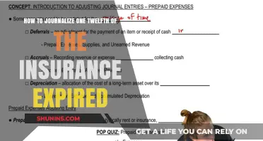 Journalizing Insurance Expenses: Mastering the One-Twelfth Method for Accurate Entries