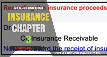 Journalizing Prepaid Insurance: A Step-by-Step Guide for Chapter 3