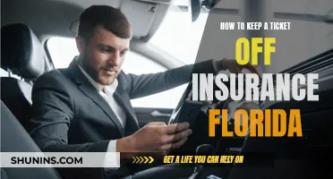 Preventing Insurance Claims: Tips for Keeping Your Ticket in Florida