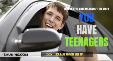 Teenage Drivers: Keeping Auto Insurance Costs Low