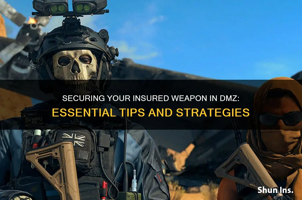 how to keep insured weapon dmz