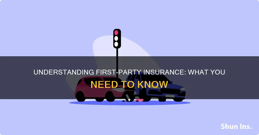 how to know first party insurance