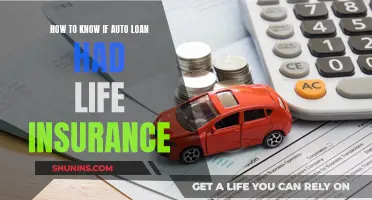 Auto Loan Life Insurance: What You Need to Know