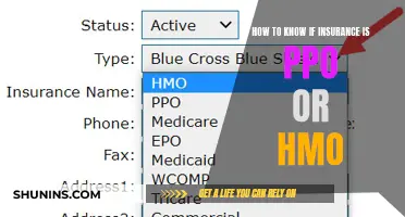 Unraveling Insurance Plans: PPO vs. HMO - What's the Difference?