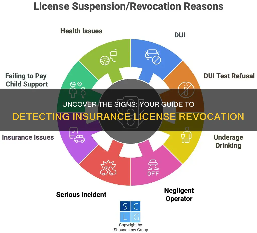 how to know if insurance liscense is revoked