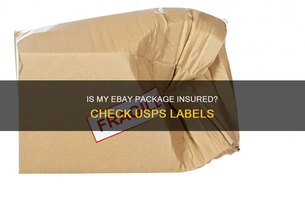 how to know if my ebay usps label is insured