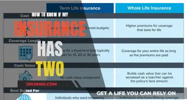 Unraveling Insurance Duplicity: Tips to Verify Double Coverage