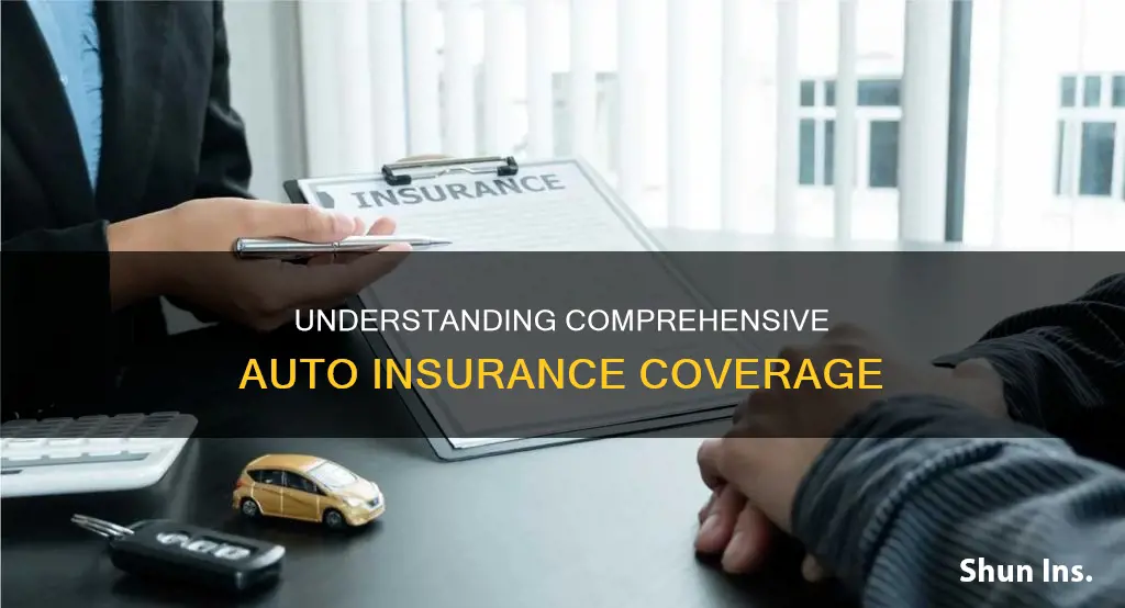 how to know if my insurance is bumper to bumper