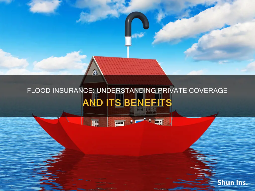 how to know if private flood insurance