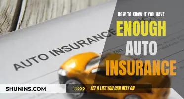 Auto Insurance: Are You Properly Covered?