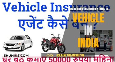 Vehicle Insurance Status: Quick Verification in India