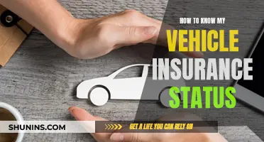 Vehicle Insurance Status: Check and Verify