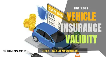 Check Your Car Insurance Status