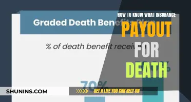 Navigating Insurance Payouts: A Guide to Death Benefits