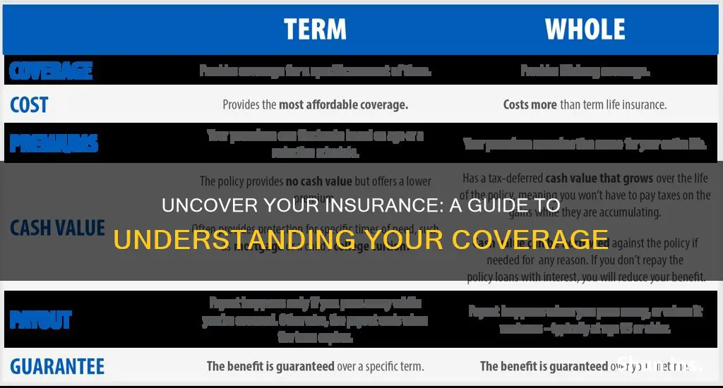 how to know what kind fo insurance I have