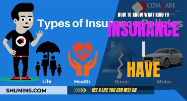 Understanding Your Insurance Coverage: What Type Do I Have?
