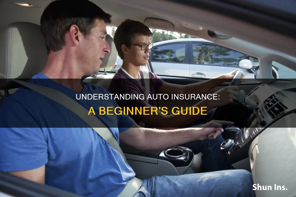 how to learn about auto insurance