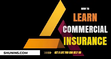 Understanding Commercial Insurance: A Beginner's Guide