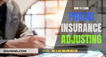 Unraveling the Art of Public Insurance Adjusting: A Comprehensive Guide