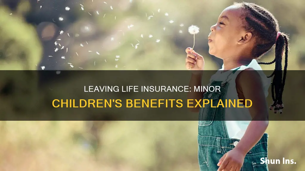 how to leave life insurance to a minor child