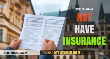 Legal Alternatives to Traditional Insurance: Exploring Coverage Options Without Breaking the Law