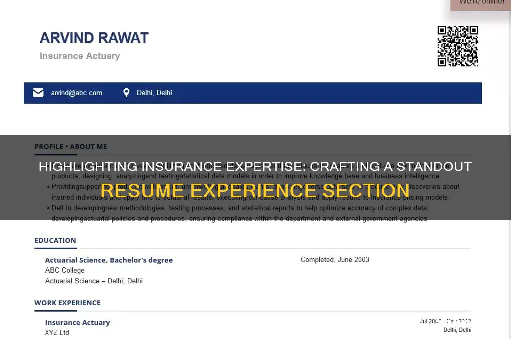 how to list insurance experience on resume