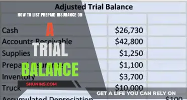 Mastering Trial Balance: Properly Listing Prepaid Insurance Entries