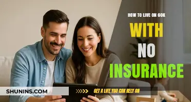 Surviving and Thriving on $60k Annually Without Health Insurance