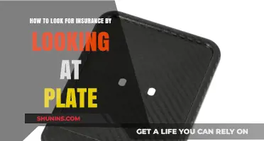 Decoding Vehicle Insurance: How to Search by License Plate Number
