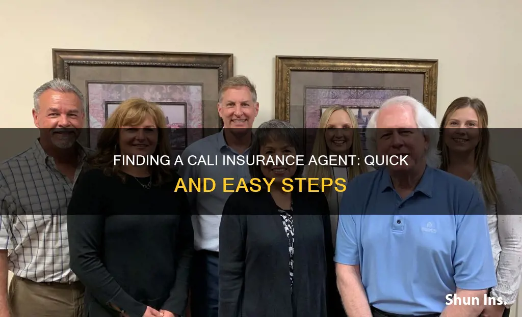 how to look up an insurance agent in cali