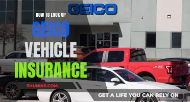 GEICO Vehicle Insurance: Quick Policy Lookup