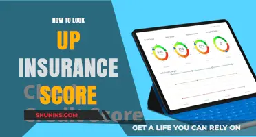 Understanding Your Insurance Score: A Step-by-Step Lookup Guide