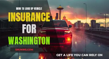 Vehicle Insurance: Washington's Guide