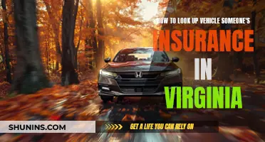 Virginia Vehicle Insurance Lookup: Quick Guide