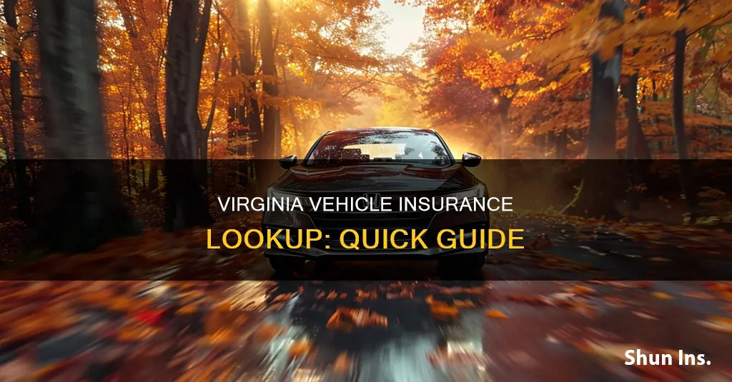 how to look up vehicle someone