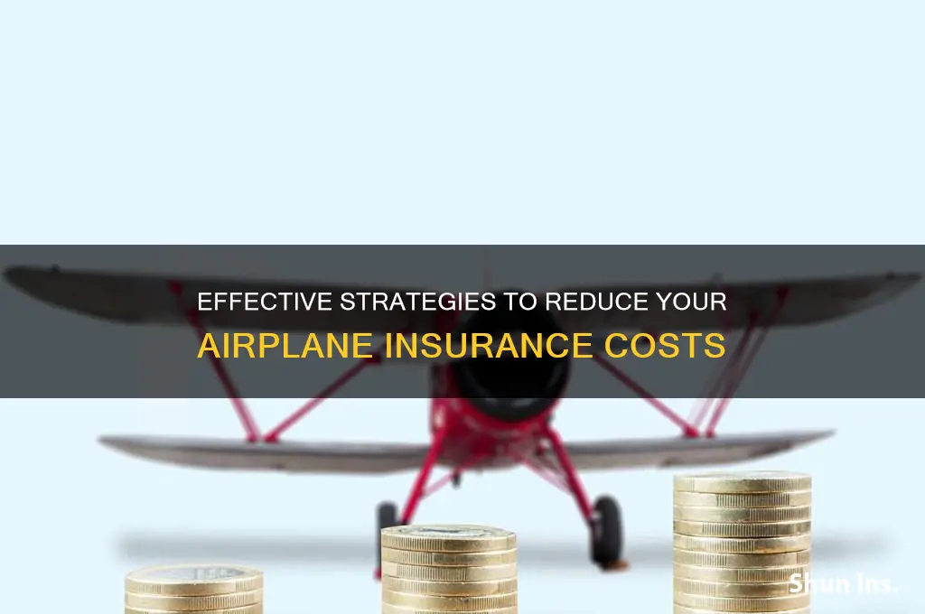 how to lower airplane insurance