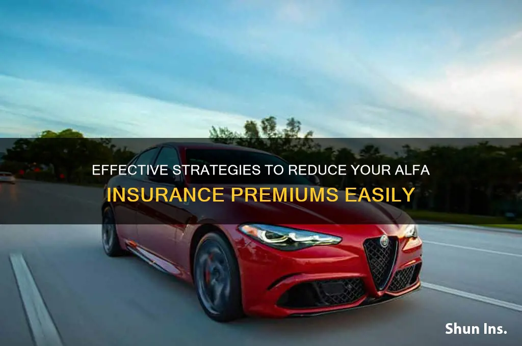 how to lower alfa insurance