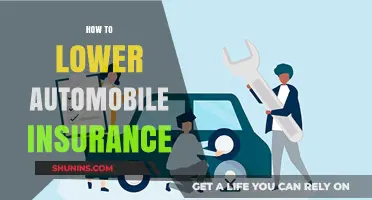Effective Strategies to Reduce Your Automobile Insurance Costs Today