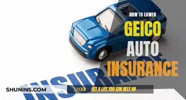 Lowering Your Geico Auto Insurance: Tips and Tricks