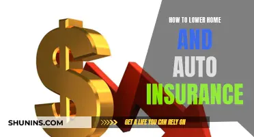 Smart Ways to Lower Home and Auto Insurance Costs