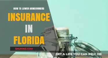 Lowering Florida Home Insurance: Tips and Tricks