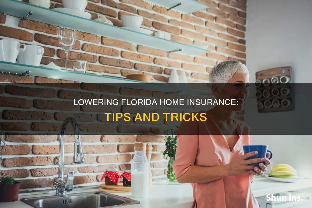 how to lower homeowners insurance in Florida