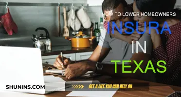 Lower Home Insurance Costs in Texas: Tips and Tricks