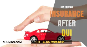 Lowering Auto Insurance Costs Post-DUI: Effective Strategies for Savings